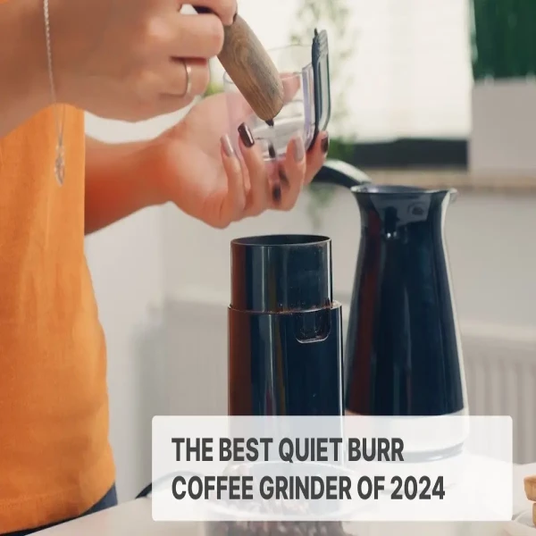best quiet burr coffee grinder